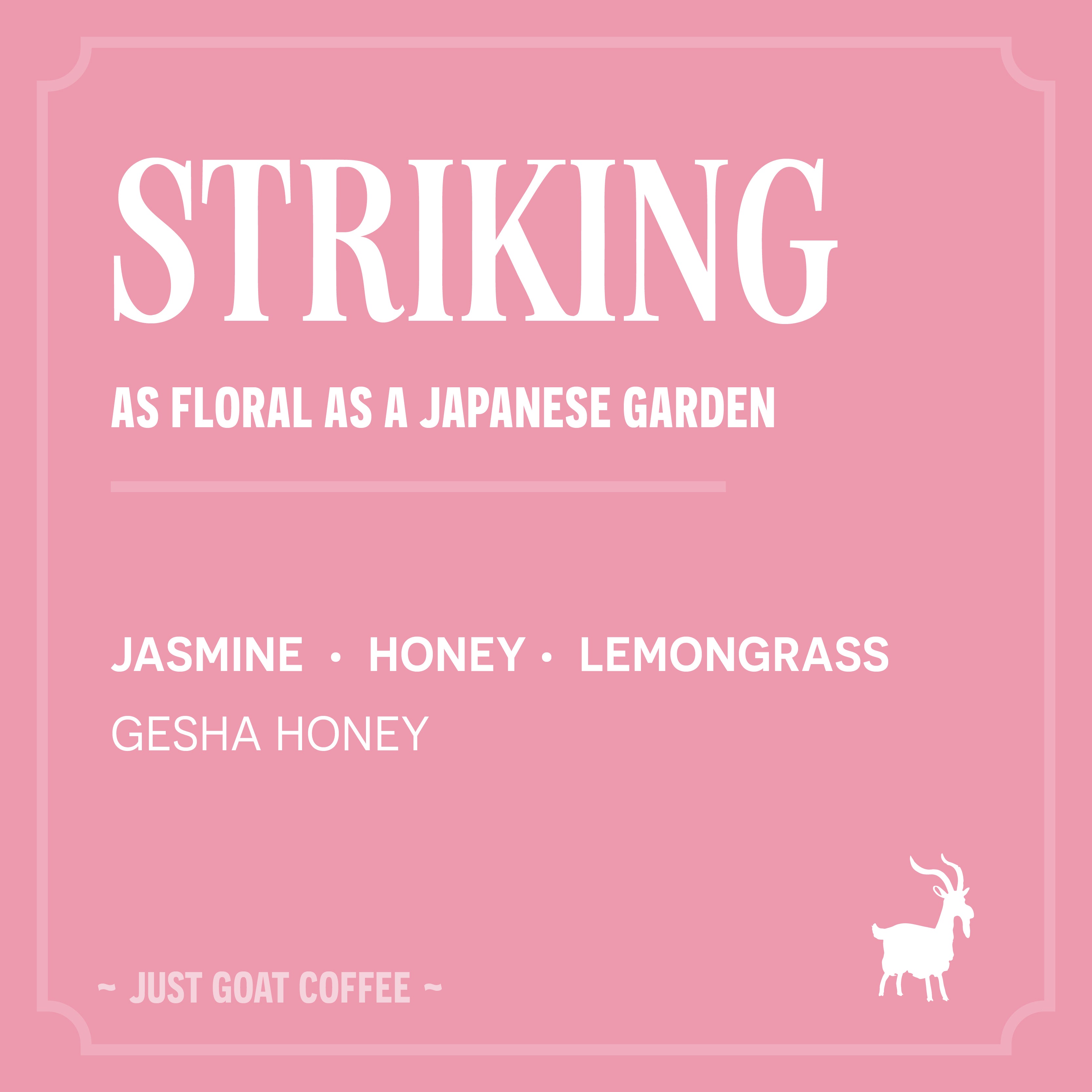 Striking Gesha