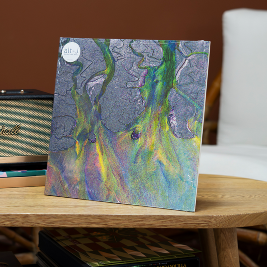 Alt-J | An Awesome Wave - Vinilo