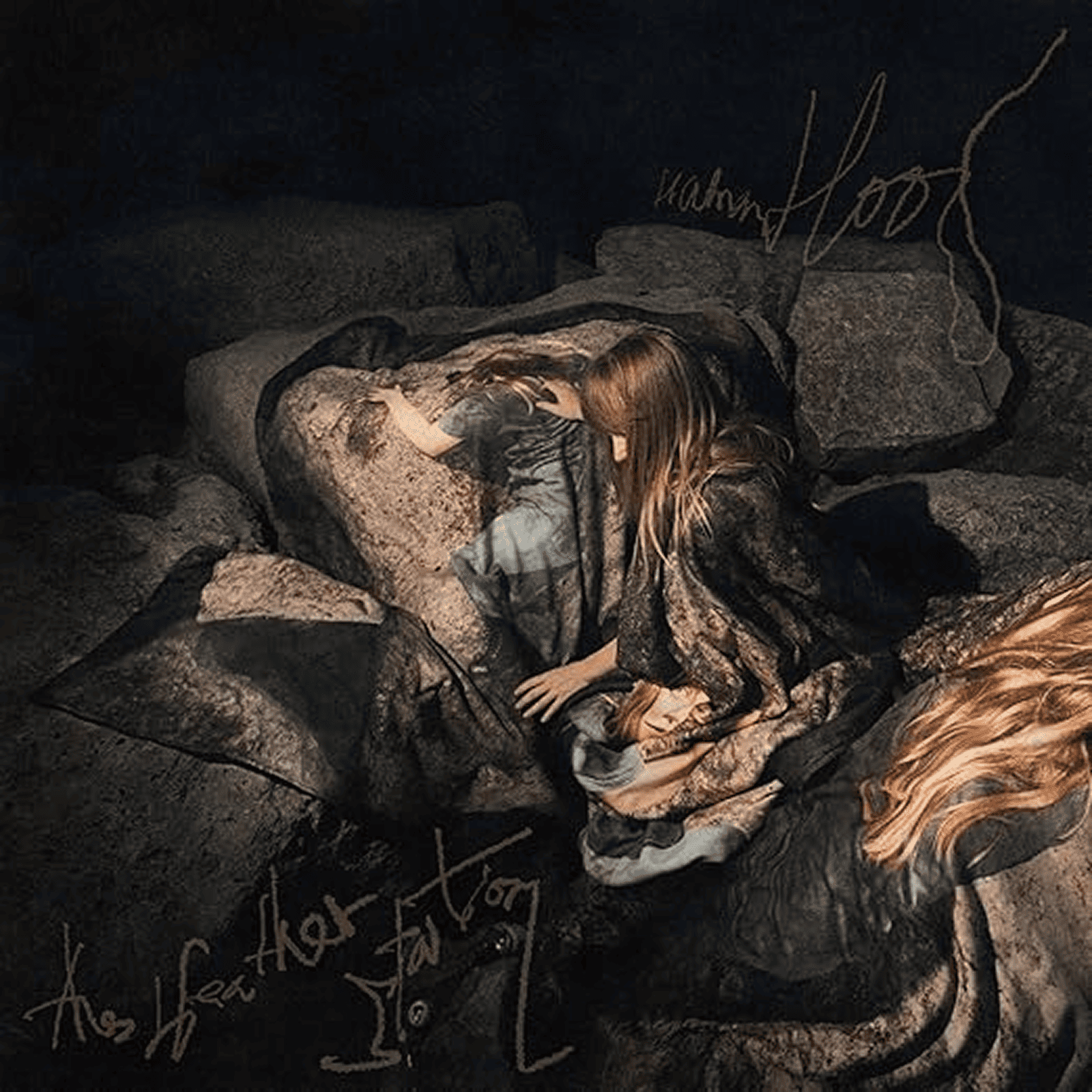 The Weather Station – Humanhood (Vinilo, Edición Estándar Negra)