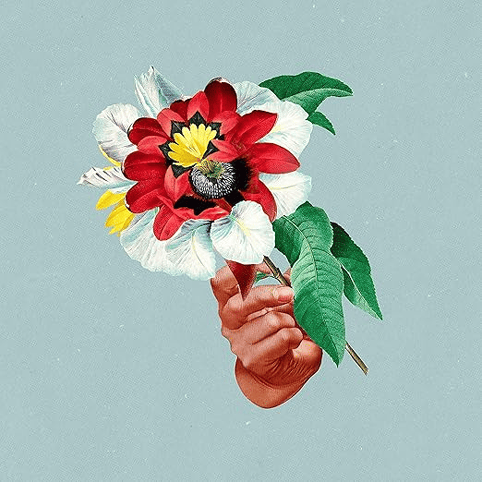Maribou State – Kingdoms in Colour