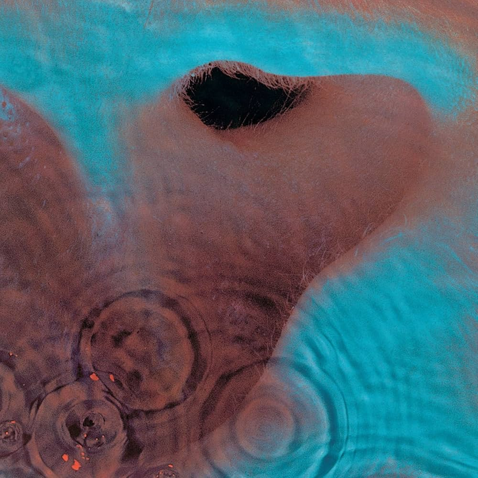 Pink Floyd – Meddle (Remasterizado, 180g Vinilo)