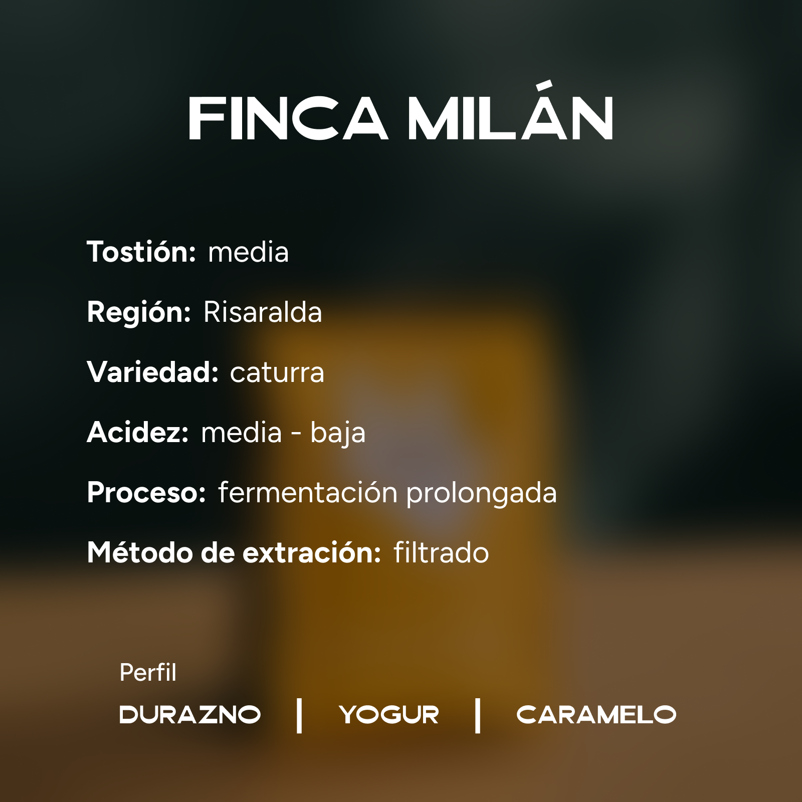 Rebel (Edición Limitada)