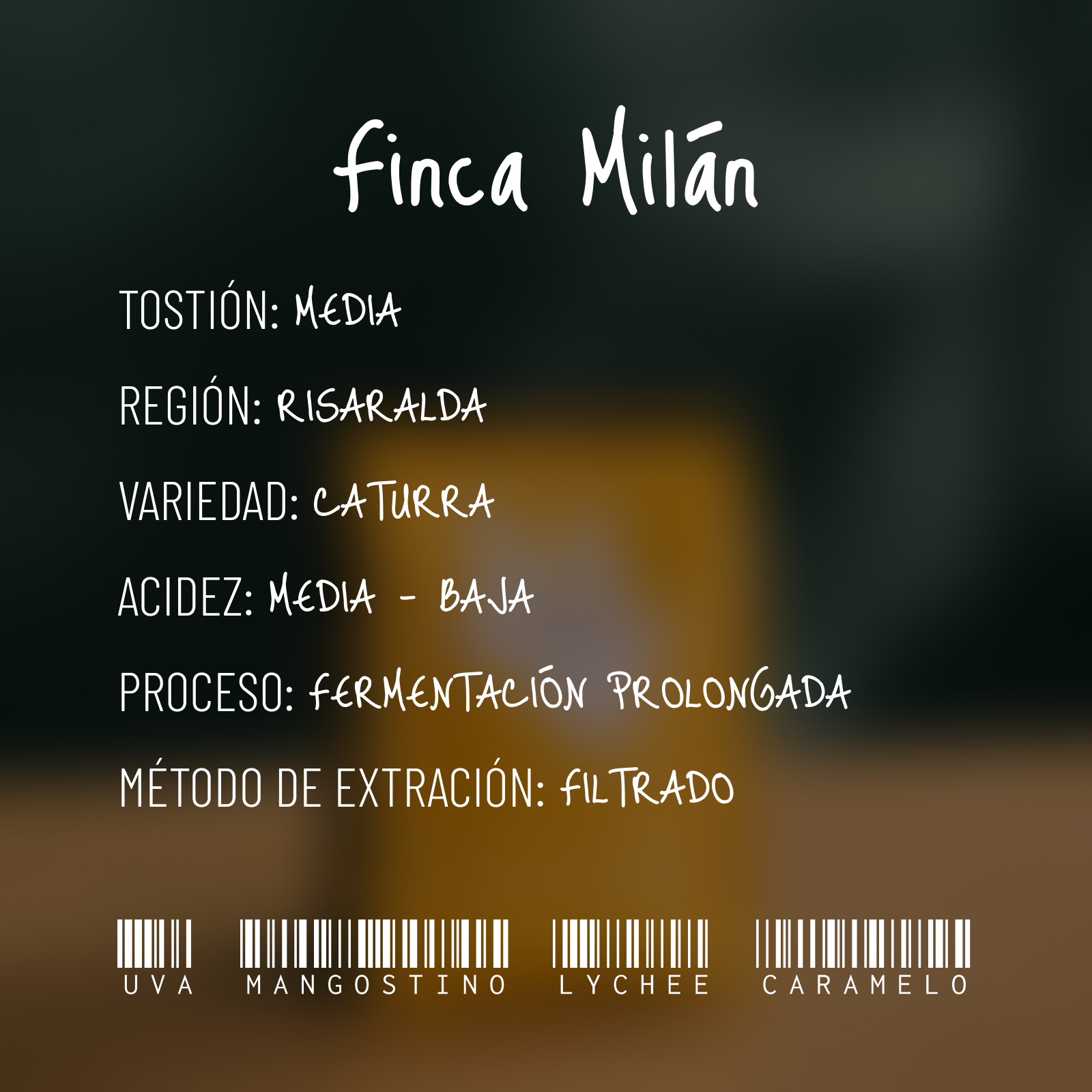 Rebel (Edición Limitada)