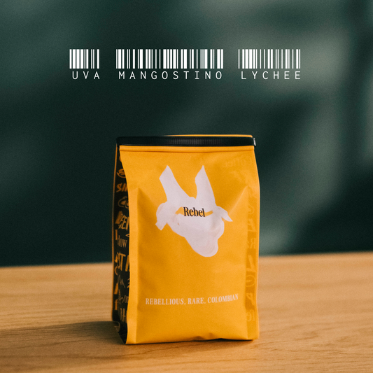 Rebel (Edición Limitada)