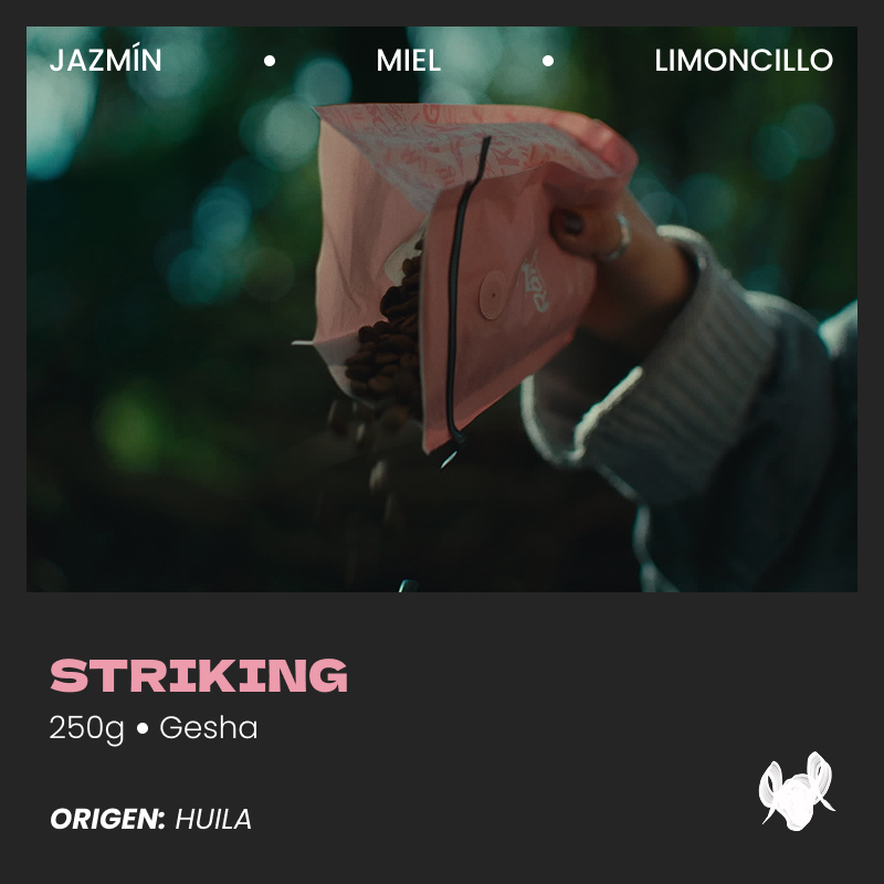 Striking Gesha